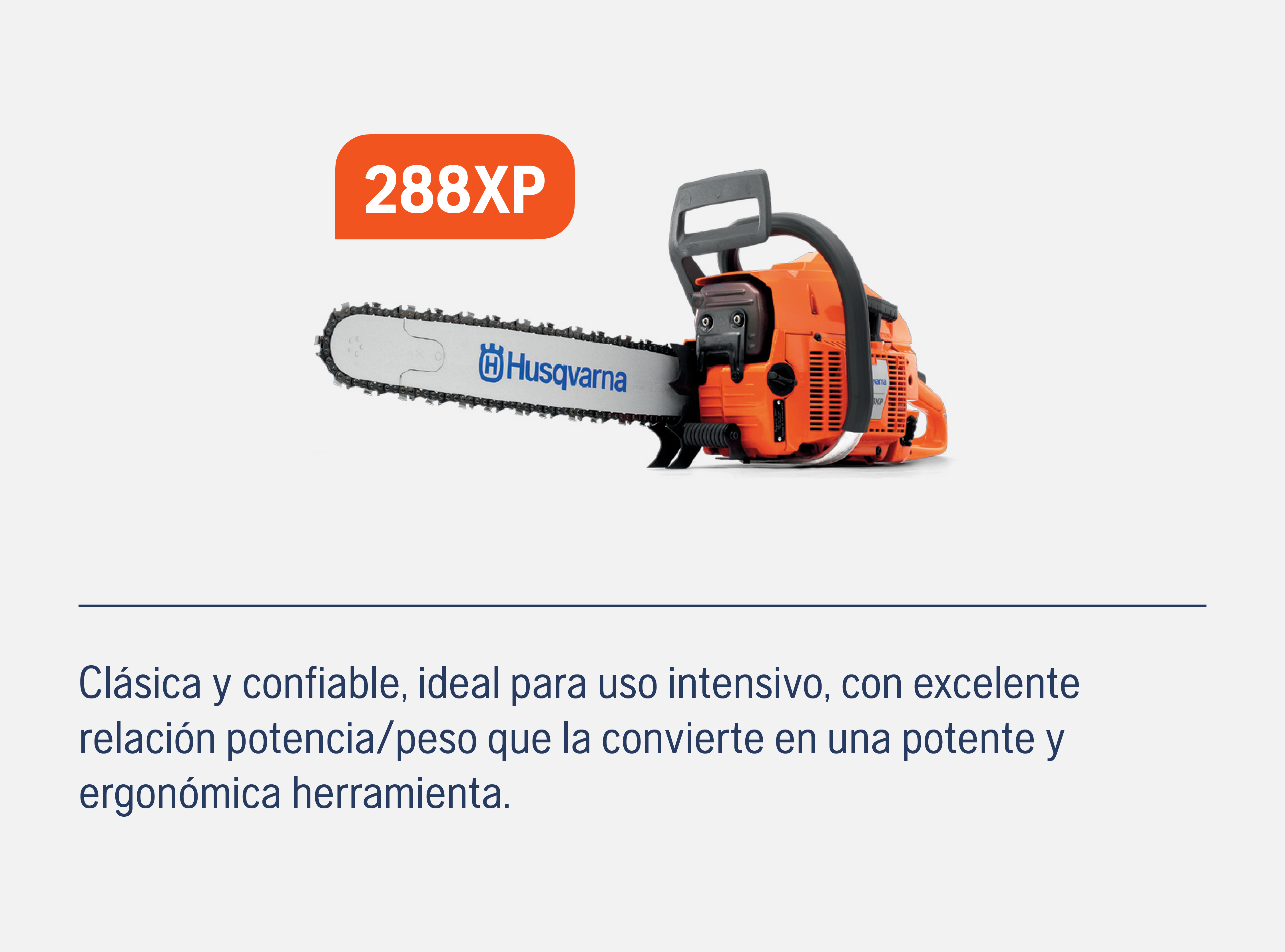 Temporada de motosierras