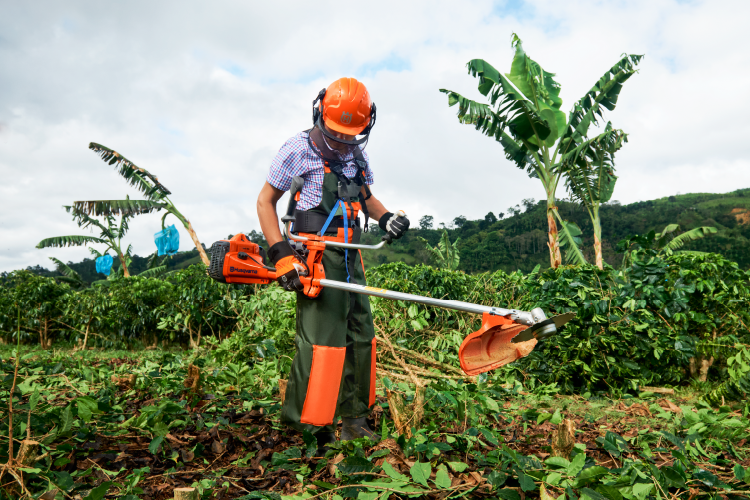 Guadañadora portada